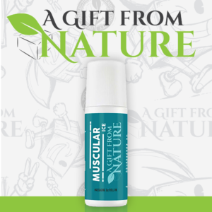AGFN CBD ICE MUSCULAR ROLL ON 500MG