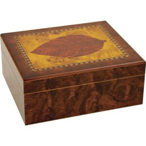 LUCIENNE LEAF CIGAR HUMIDOR HOLDS 25 CIGARS