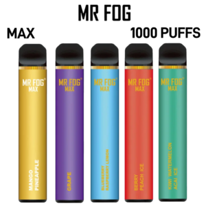 MR FOG MAX 1000 PUFFS 5% NICOTINE DISPOSABLES - 10CT DISPLAY
