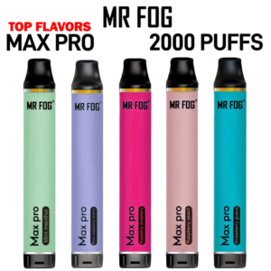 MR FOG MAX PRO 5% 2000 PUFFS DISPOSABLE VAPE - DISPLAY OF 10