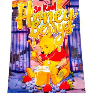 SMELL PROOF 1G MYLAR BAGS - PACK OF 100 (DESIGN #19)