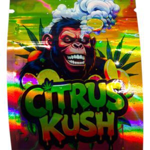 SMELL PROOF 1G MYLAR BAGS - PACK OF 100 (DESIGN 2)