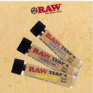 RAW TERP'D CONES 1 1/4 SIZE 6-PACK - 12CT DISPLAY