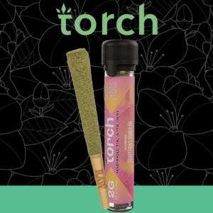 TORCH HASHHOLE THC-A 2G KIEF & HASH - DISPLAY OF 10