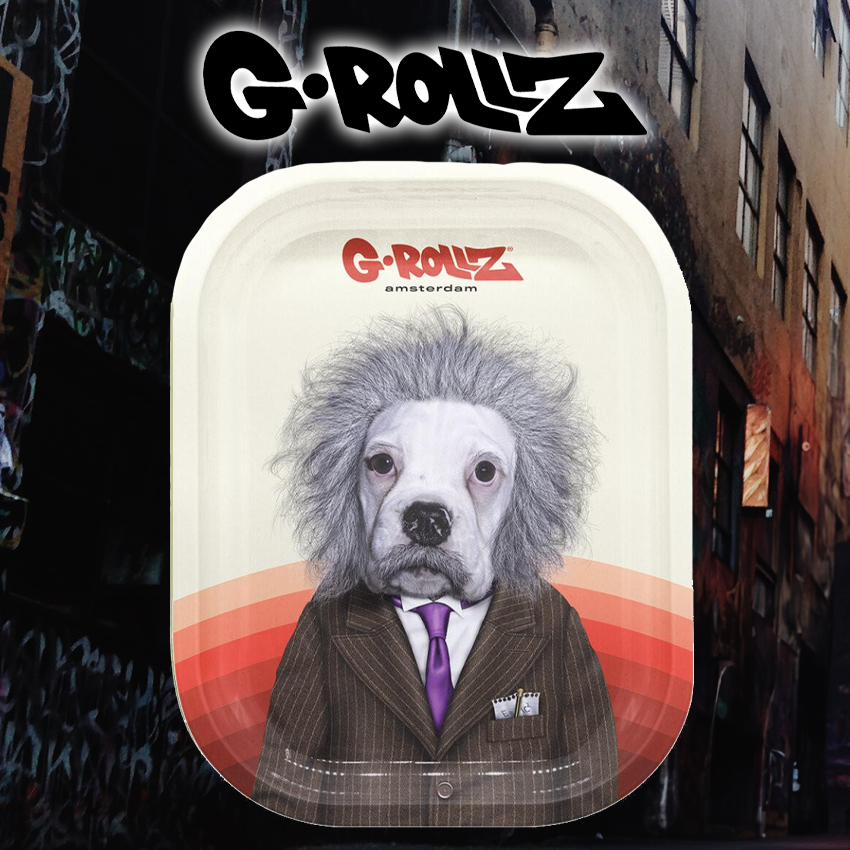 G-ROLLZ - BRAIN SMALL TIN TRAY 14 X 18CM