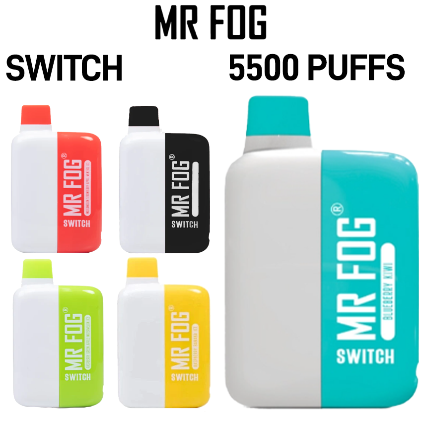MR FOG SWITCH 15ML 5500 PUFFS RECHARGEABLE DISPOSABLE - DISPLAY OF 10
