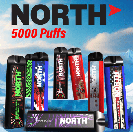 NORTH NIC 5% RECHARGEABLE DISPOSABLE 10ML 5000 PUFFS - DISPLAY OF 10
