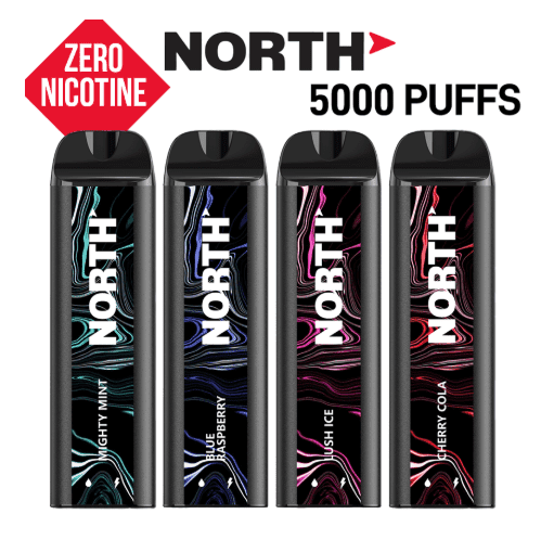 NORTH (ZERO NICOTINE) RECHARGEABLE DISPOSABLE 10ML 5000 PUFFS - DISPLAY OF 10